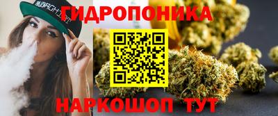 apvp Гай
