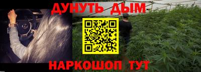 apvp Гай