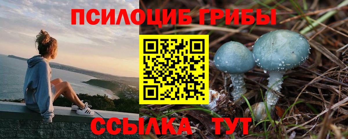 Псилоцибиновые грибы Psilocybine cubensis  Галлюциногенные грибы мухоморы  Вход с VPN  Ковров 
