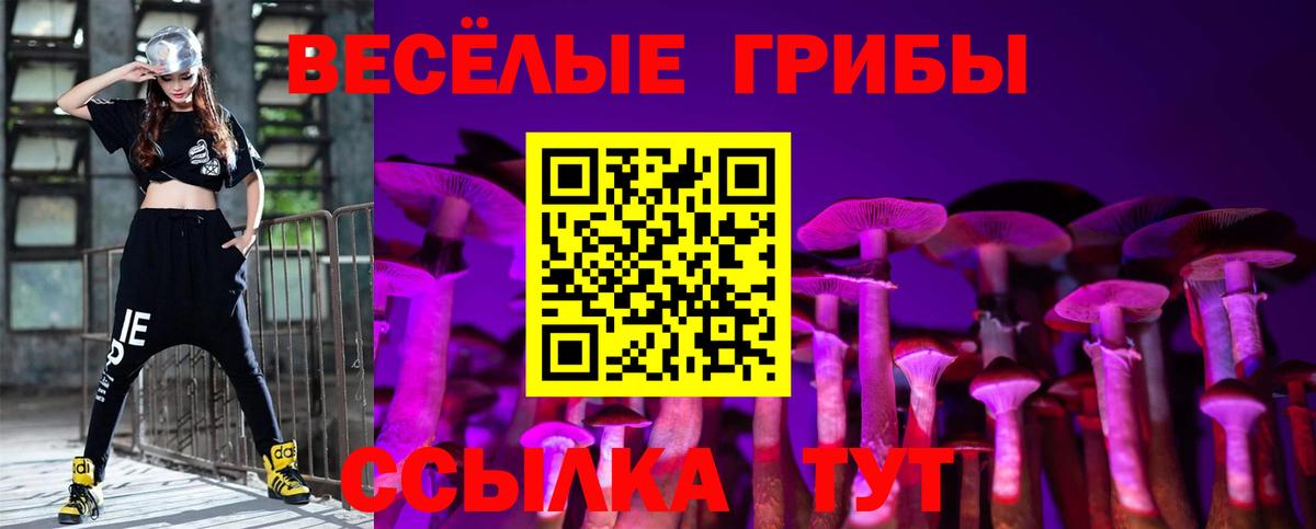 Галлюциногенные грибы Psilocybine cubensis Ковров