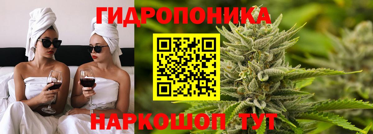 Канабис ГИДРОПОН  Вход с VPN  МАРИХУАНА планчик  Ковров 
